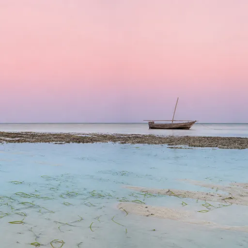 Watamu Beyond the Reef: What Kenya's Marine-Park Town Offers the Unhurried Traveler