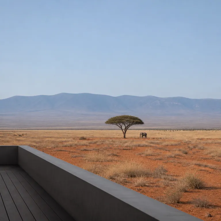 September Safari: Why Kenya's Shoulder Season Rewards the Patient Traveler